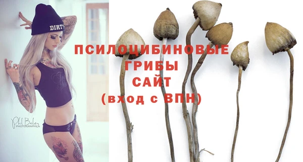 2c-b Алексин