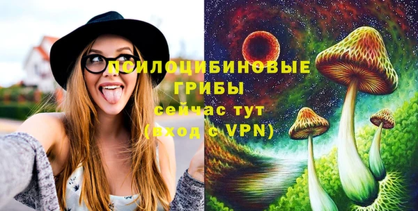 шишки Аркадак