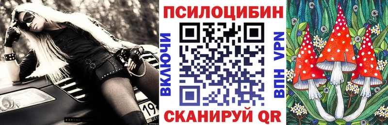 Галлюциногенные грибы Cubensis  мега как войти  Подольск 